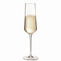 Leonardo Puccini champagneglas 28 cl set van 6