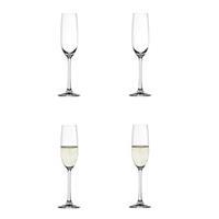 SPIEGELAU SPIEGELAU Champagnerflöte Salute 21 cl 24,5cm 4er Set