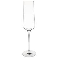 Olympia Claro champagneglazen 26cl - 6