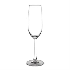 Modale champagneglazen 21,5cl - 6