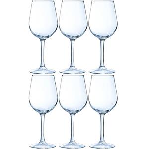 6x Luxe wijnglazen voor rode wijn 370 ml - 37 cl - Rode wijn glazen - Wijn drinken - Wijnglazen van glas