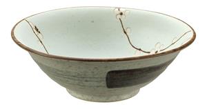 Tokyo Design Studio Mintgroene Kom - Soshun - 20 x 7cm 750ml