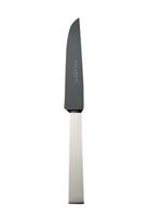 robbe&berking Steakmesser Riva Frozen Black