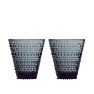 Iittala Kastehelmi drinkglas 30 cl set van 2