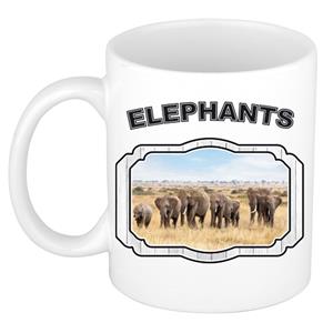 Dieren Liefhebber Olifant Mok 300 Ml - Kerramiek - Kudde Olifanten - Cadeau Beker / Mok Olifanten Liefhebber
