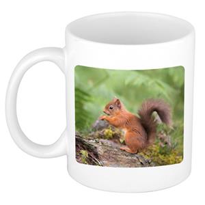 Dieren Eekhoorntje Foto Mok 300 Ml - Cadeau Beker / Mok Eekhoorntjes Liefhebber