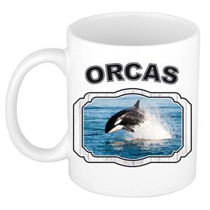 Dieren Liefhebber Orka Mok 300 Ml - Kerramiek - Cadeau Beker / Mok Orka Vissen Liefhebber