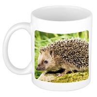 Dieren Egel Foto Mok 300 Ml - Cadeau Beker / Mok Egels Liefhebber