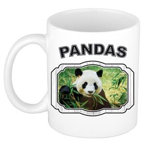 Dieren Liefhebber Panda Mok 300 Ml - Kerramiek - Cadeau Beker / Mok Pandaberen Liefhebber