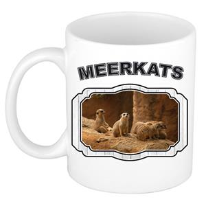 Dieren Liefhebber Stokstaartje Mok 300 Ml - Kerramiek - Cadeau Beker / Mok Stokstaartjes Liefhebber