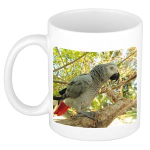 Dieren Grijze Roodstaart Papegaai Foto Mok 300 Ml - Cadeau Beker / Mok Papegaaien Liefhebber