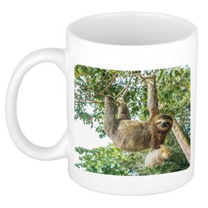 Dieren Hangende Luiaard Foto Mok 300 Ml - Cadeau Beker / Mok Luiaarden Liefhebber