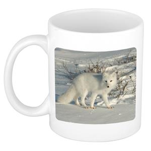 Dieren Poolvos Foto Mok 300 Ml - Cadeau Beker / Mok Vossen Liefhebber