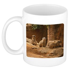 Dieren Stokstaartje Foto Mok 300 Ml - Cadeau Beker / Mok Stokstaartjes Liefhebber