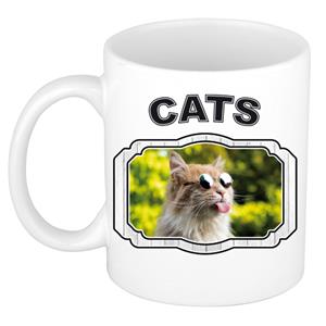 Dieren Liefhebber Gekke Poes Mok 300 Ml - Kerramiek - Cadeau Beker / Mok Katten Liefhebber