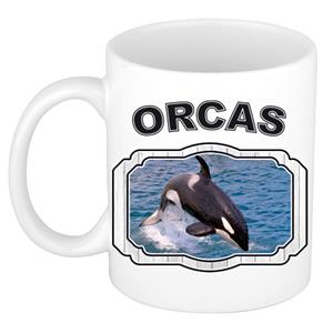 Dieren Liefhebber Grote Orka Mok 300 Ml - Kerramiek - Cadeau Beker / Mok Orka Walvissen Liefhebber