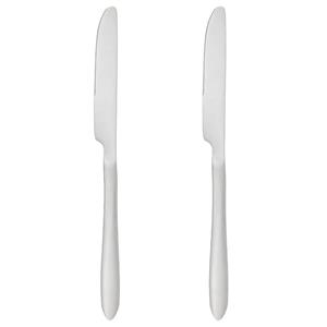 Secret de Gourmet bestek Messen Nevis - 2x stuks - RVS - 23 cm - Messen