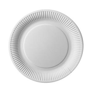 100x Kartonnen Dinerborden 26 Cm - Dinerborden