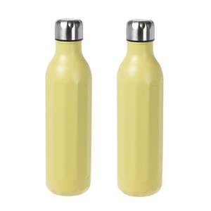 Excellent Houseware 2x stuks RVS thermosflessen / isoleerflessen voor onderweg 500 ml pastel geel -