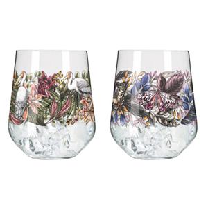 Ritzenhoff Schattenfauna gin tumblers 2 stuks