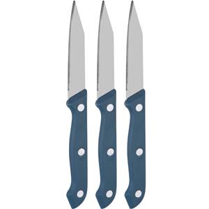 3x Keukenmesjes/schilmesjes RVS met blauw kunststof handvat -