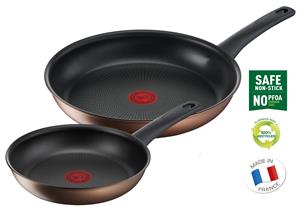 Tefal Resource 2 pc set frypans 22/28 cm