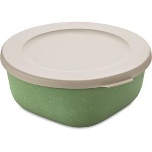 KOZIOL Frischhaltedose »Connect Box Nature Leaf Green, 700 ml«, Kunststoff-Holz-Mix, mit Deckel