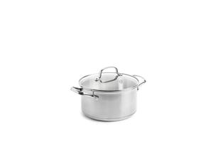 Coppens Dagelijkse kost kookpan 20 cm 3.3 liter