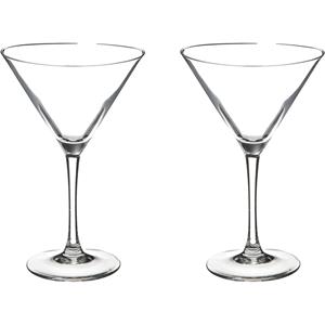 Secret de Gourmet Cocktailglazen/martiniglazen - 8x stuks - 300 ml - Transparant