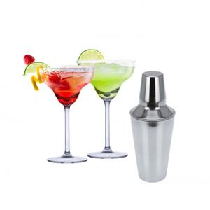 Alpina Set van 4x Margarita cocktailglazen met cocktailshaker RVS - 250 ml - Cocktails drinken - Cocktails - Cocktailglazen