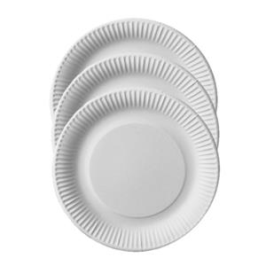 150x Duurzame kartonnen lunchbordjes 23 cm -