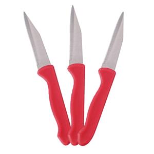 Alpina keukenmesjes/schilmesjes - 3x stuks - RVS met rood kunststof handvat - 18 cm -