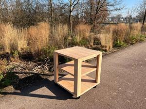 Industrielemeubelshop Douglashouten module voor buitenkeuken Robby