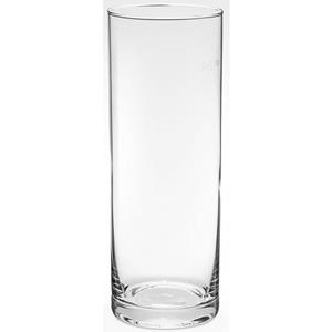 van Well Bierglas "Bierstange", (Set, 12 tlg., 12 Bierstangen 0,4l)