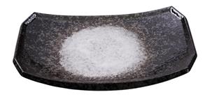 Tokyo Design Studio Wit Bord - Minoyaki - 21,8 x 14,8cm