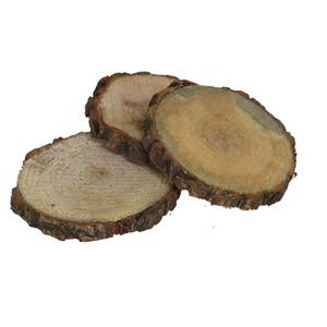 Merkloos Boomschijven onderzetters voor glazen - 4x - hout - D10 cm - rond - gelakt -