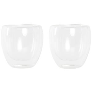 Items koffieglazen/theeglazen dubbelwandig - set 2x - cappuccino glazen - 250 ml -