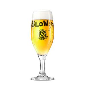 De Molen bierglas 25cl