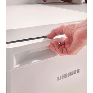 Liebherr Re 1000-20 Tischkühlschrank weiß / E