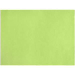 GARCIA DE POU Placemats Spuno; 30x40 cm (BxL); kiwi; 200 stuk / verpakking