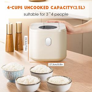 Factory Discount Outlet Digitale elektrische rijstkoker, 2,5L grote capaciteit 8 in 1 multifunctionele koker met automatische uitschakeling en 24-uurs timervertraging en warmhoudfunctie UK Plug