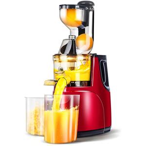 ZEKS Slow Masticating Juicer, Appels Oranje Juicer Machine Met Brede Chute Stille Motor Voor Juicer Machines Groente- en Fruit Masticating Juicer