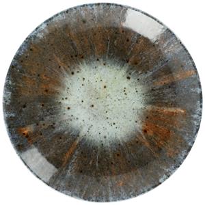 Vega Plat bord Saturnus; 24.5 cm (Ø); antraciet/groen/oranje; rond; 6 stuk / verpakking