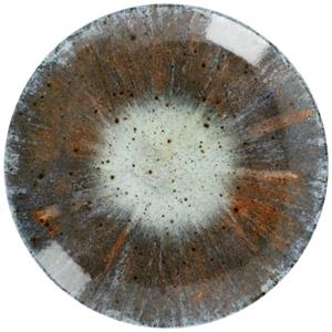Vega Plat bord Saturnus; 31 cm (Ø); antraciet/groen/oranje; rond; 6 stuk / verpakking