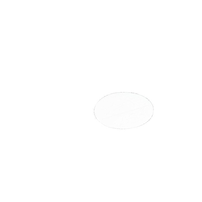 AEG plat afvoerfilter, 8090958045