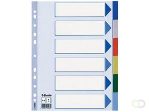 Esselte Tabbladen  A4 11R PP 6-delig