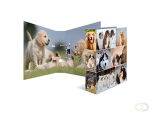 HERMA PapierB?roSchreibwar - 
