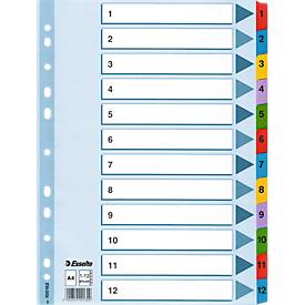 Esselte Mylar Indices & Dividers