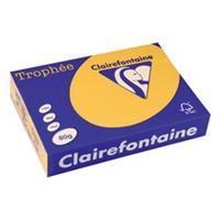 Clairefontaine Trophée Pastel A4, 80 g, 500 vel, goudgeel