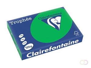 Clairefontaine Trophée Intens A4, 120 g, 250 vel, bijartgroen